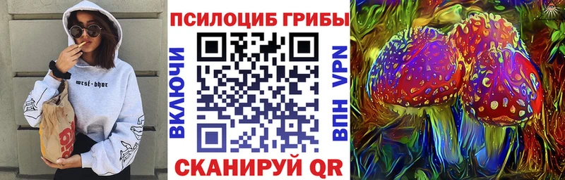 где купить наркоту Агидель Галлюциногенные грибы мухоморы